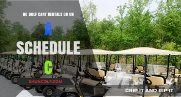 Golf Cart Rentals: Schedule C Tax Reporting Requirements Explained