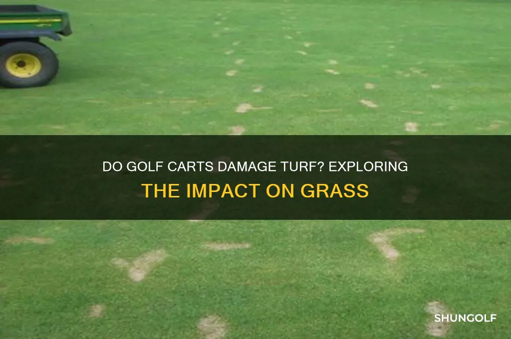 do golf carts damaga turf
