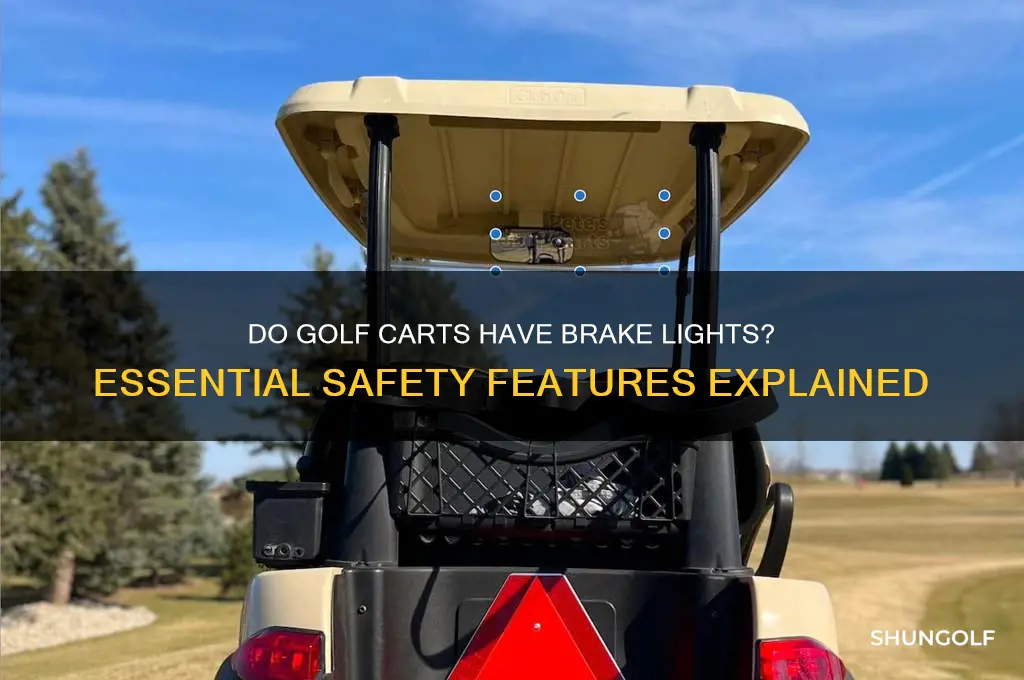 do golf carts have brake lights