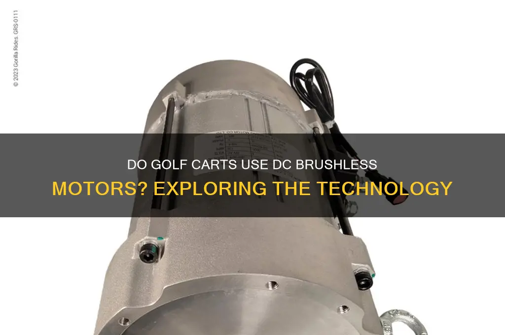 do golf carts have dc brushless motors