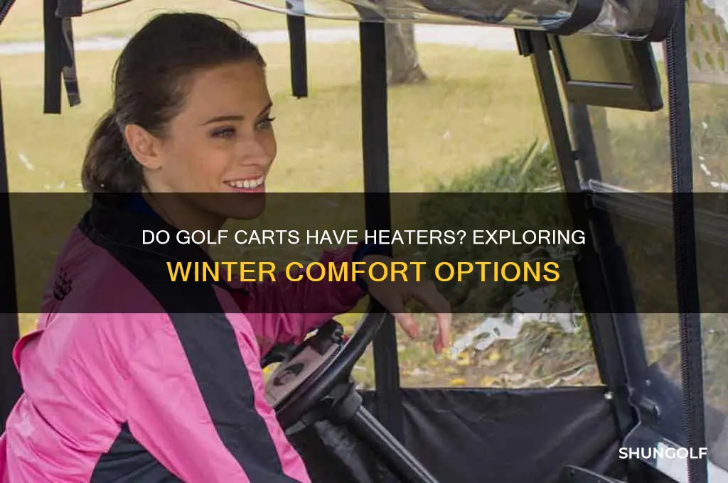 do golf carts have heaters