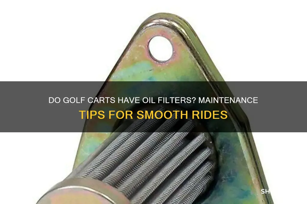 do golf carts have oil filters