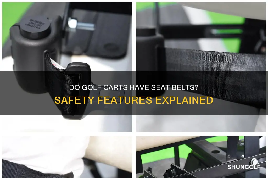 do golf carts have seat belts