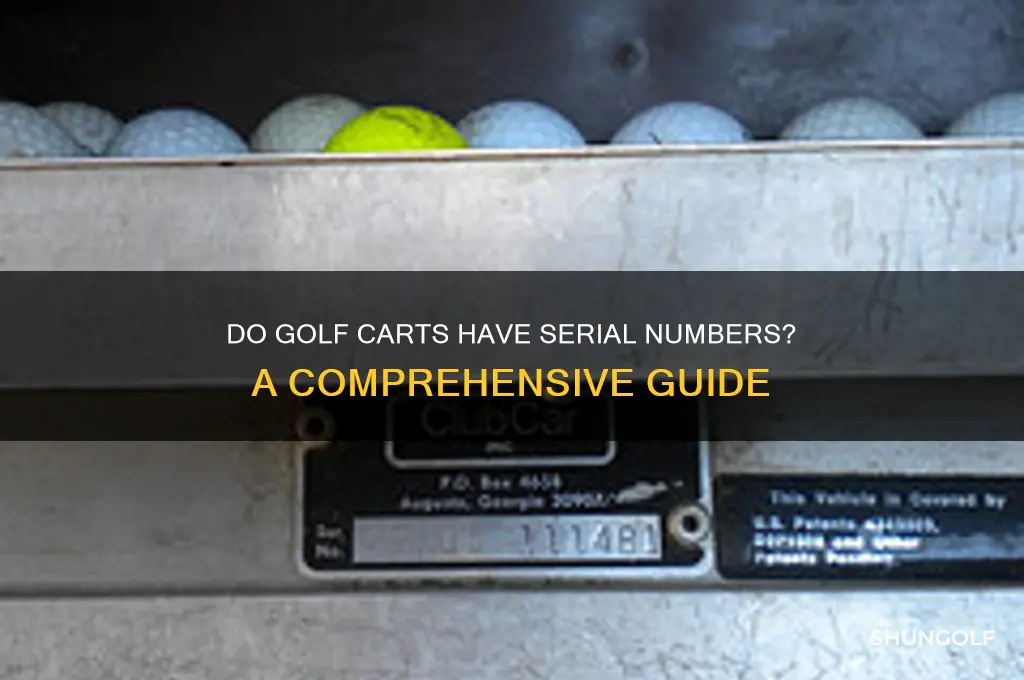 do golf carts have serial numbers