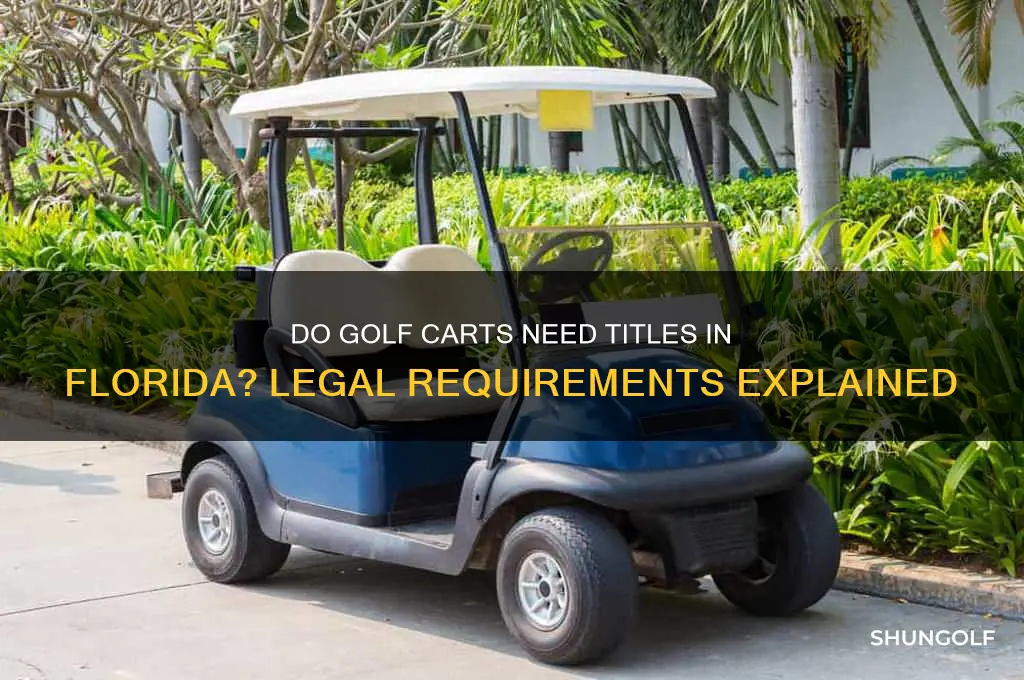 do golf carts have titles in florida