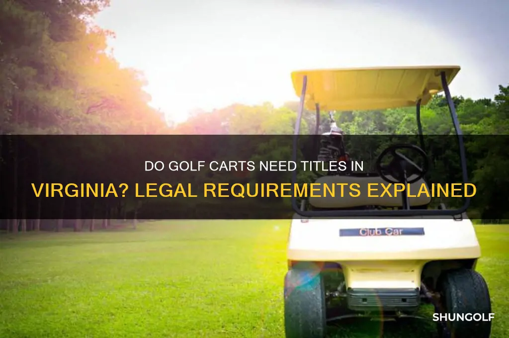 do golf carts have titles in va