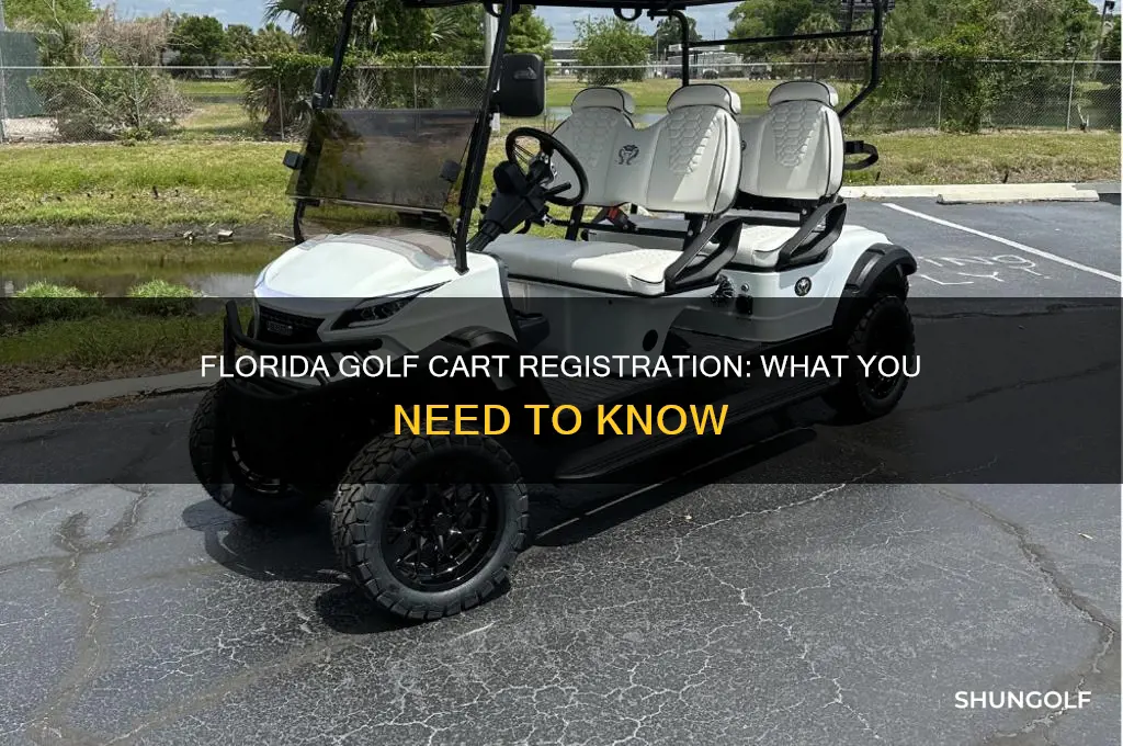 do golf carts have to be registered in florida
