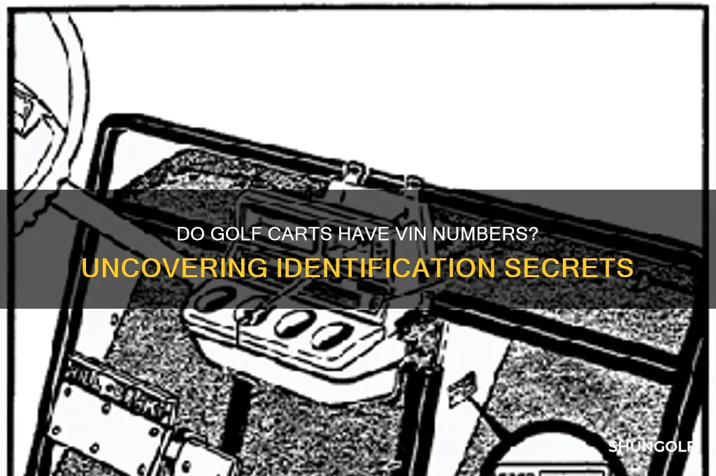 do golf carts have vin numbers