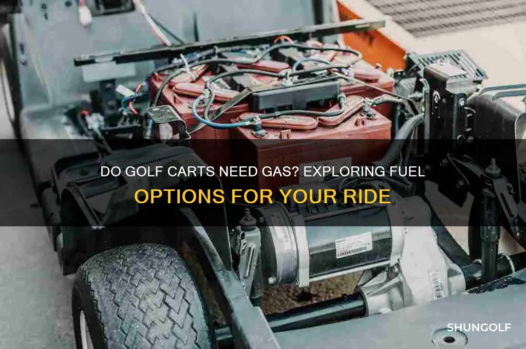 do golf carts need gas