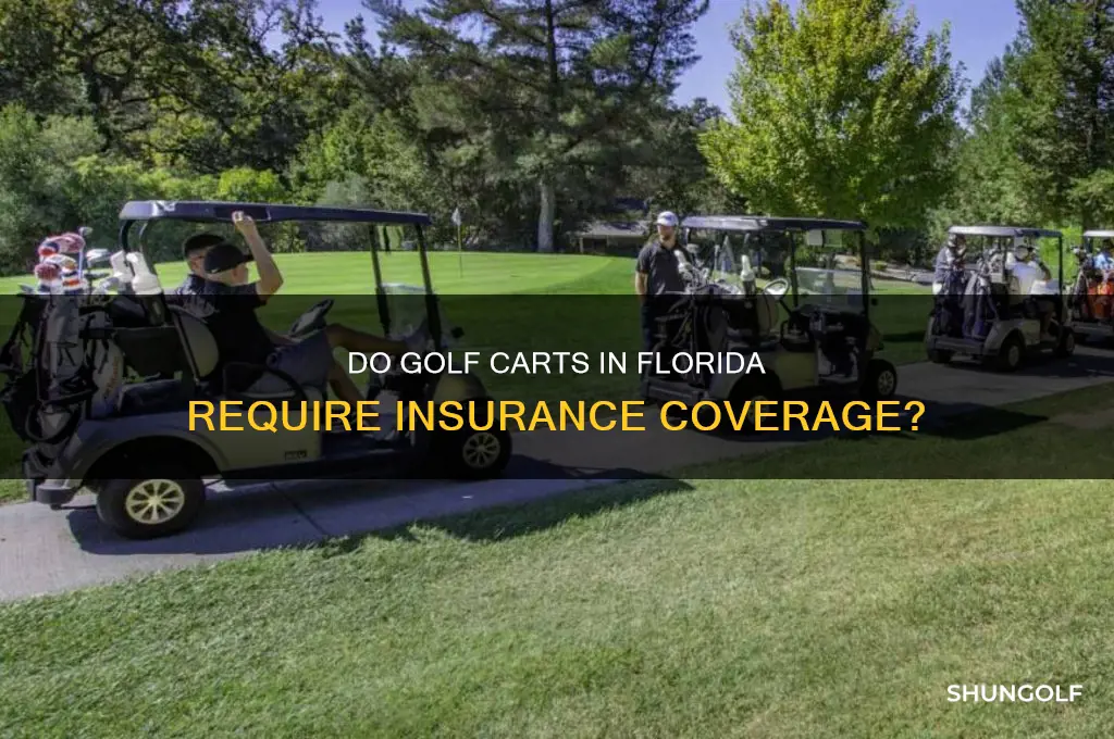 do golf carts need insurance in florida
