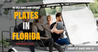 Do Golf Carts Need License Plates in Florida? A Clear Guide