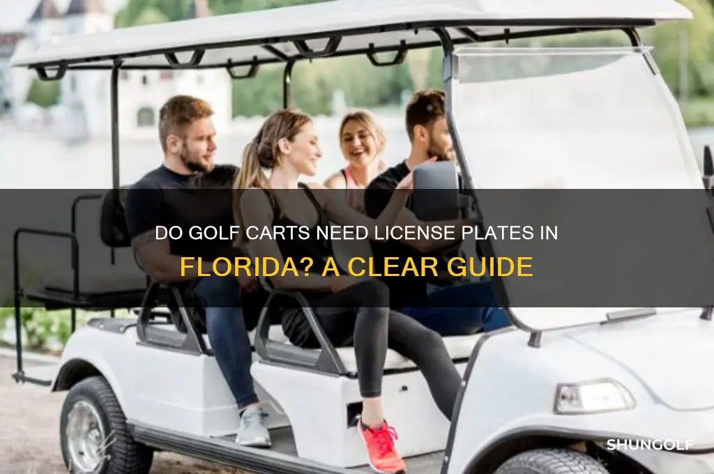 do golf carts need license plates in florida