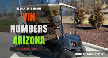 Do Golf Carts in Arizona Need VIN Numbers? Find Out Here