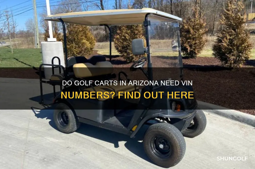 do golf carts require vin numbers arizona