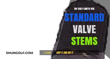 Golf Cart Valve Stems: Are They Standard or Specialized?