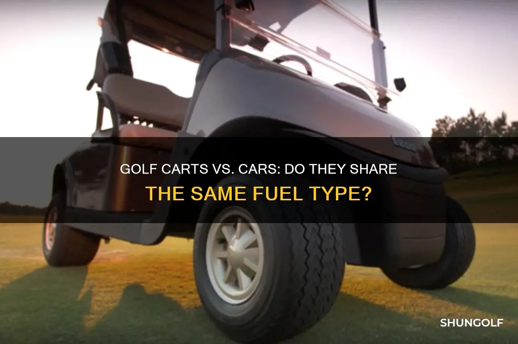 do golf carts use the same gas as cars