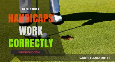 Do Golf Club 2 Handicaps Function Accurately? A Critical Analysis