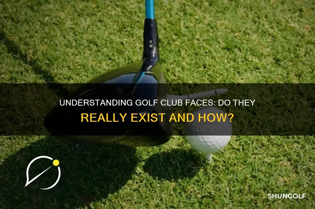 do golf clubs have a face
