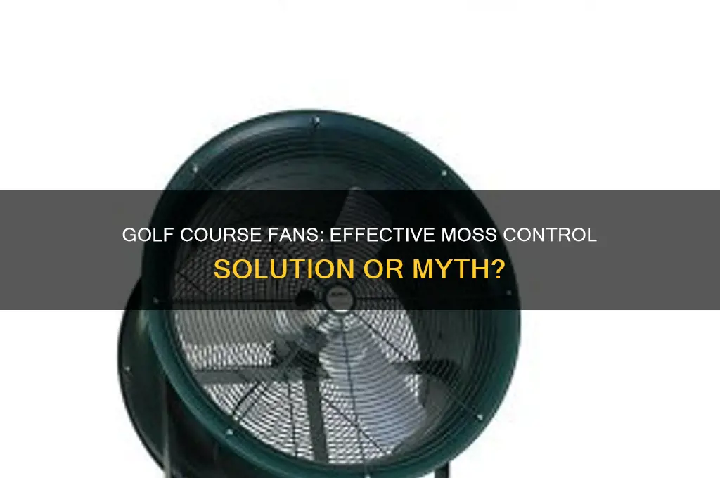 do golf course fans help with moss control