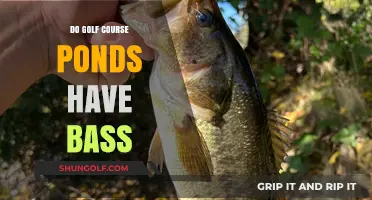 Do Golf Course Ponds Have Bass? Exploring Aquatic Life on the Greens