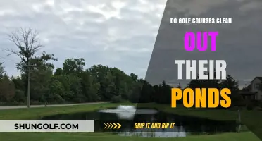Golf Course Pond Maintenance: Do They Regularly Clean Out Their Ponds?