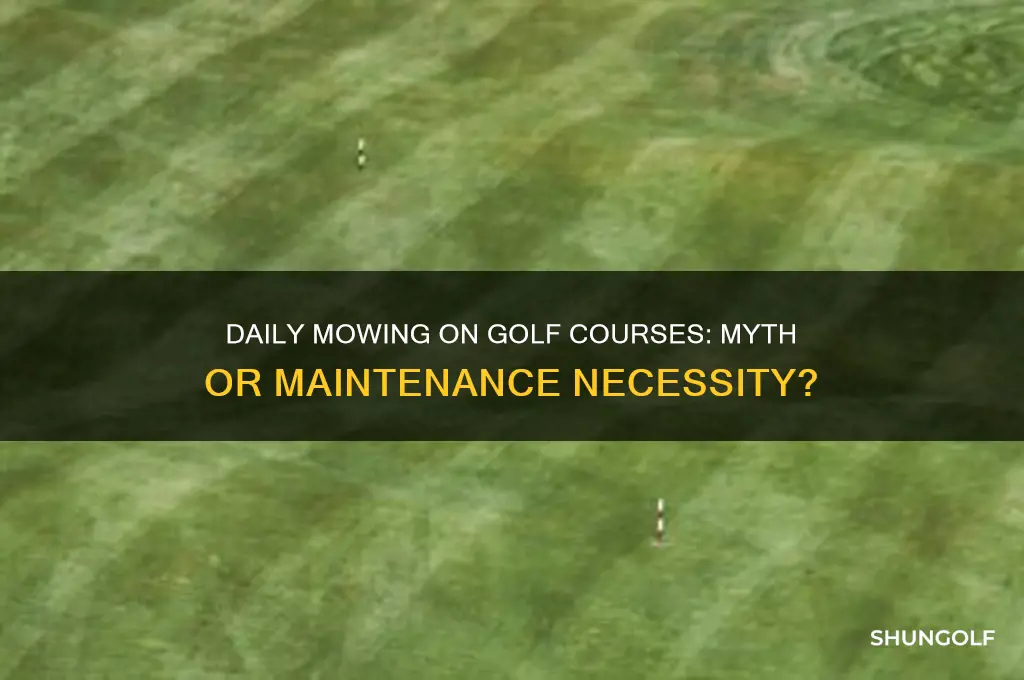do golf courses mow every day