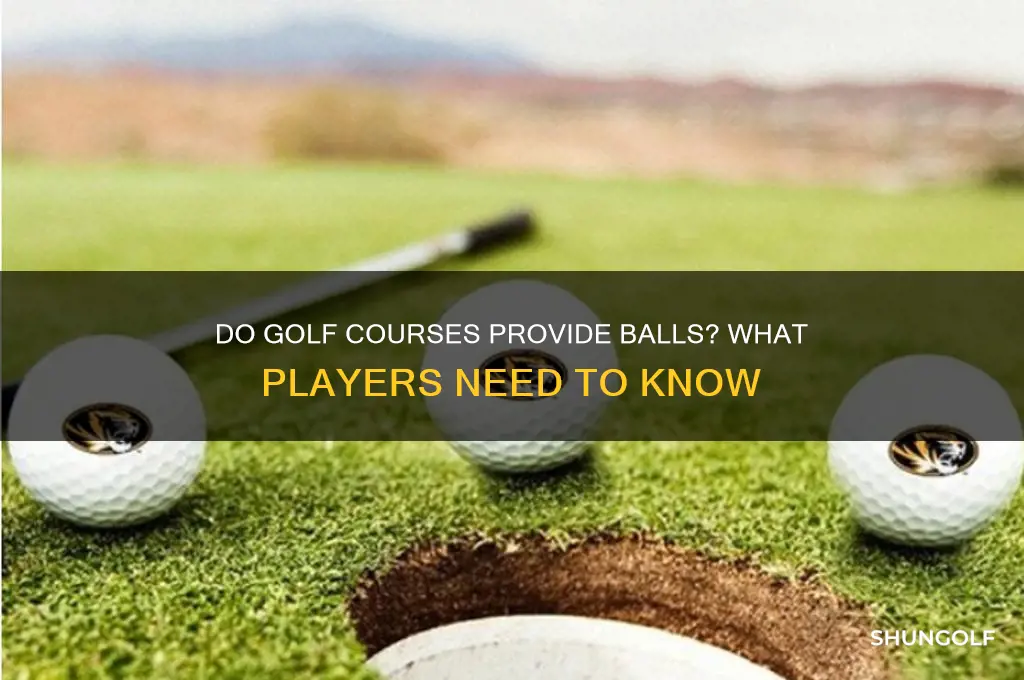 do golf courses provide balls