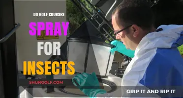 Golf Courses and Insect Control: Spraying Practices Explained