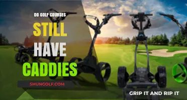 Are Caddies Still a Staple on Modern Golf Courses?