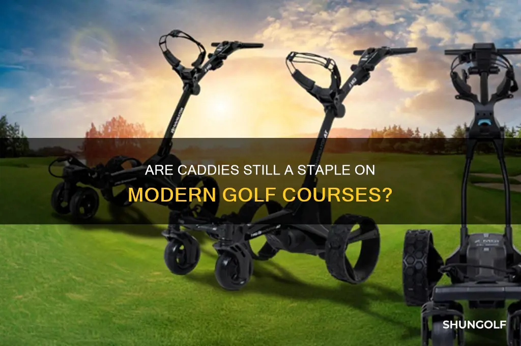 do golf courses still have caddies