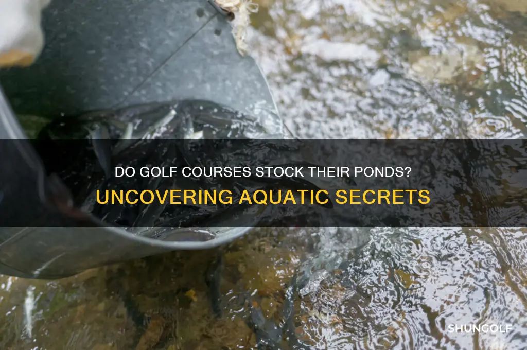 do golf courses stock their ponds