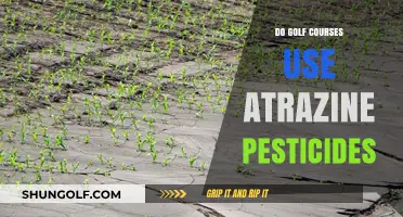 Do Golf Courses Use Atrazine Pesticides? Uncovering the Truth