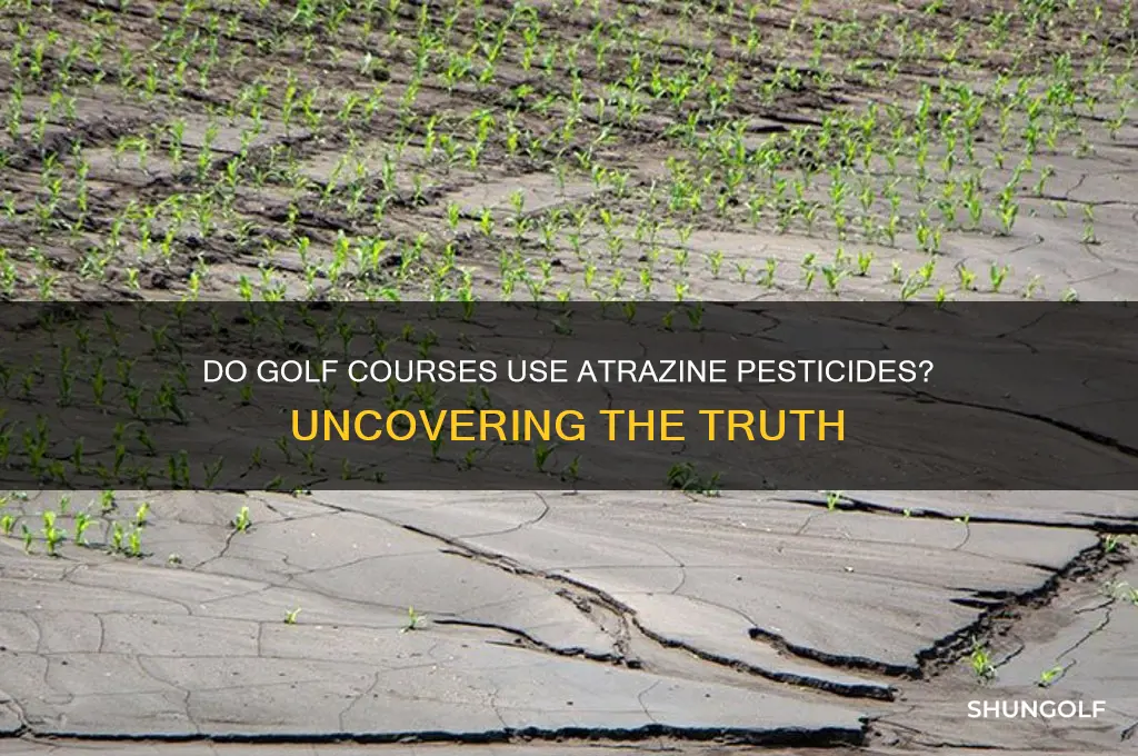 do golf courses use atrazine pesticides