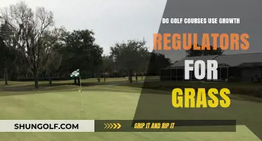 Do Golf Courses Use Growth Regulators for Grass?