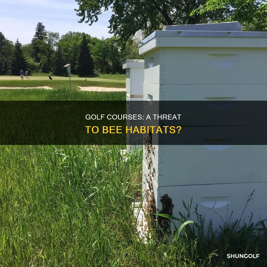 do golf courts destroy bee habitat
