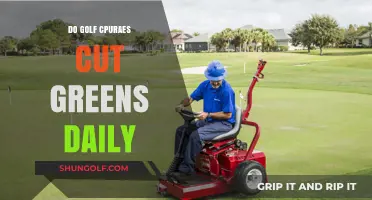 Golf Course Greens: Daily Maintenance and Care