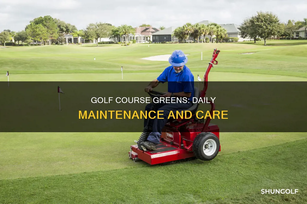 do golf cpuraes cut greens daily