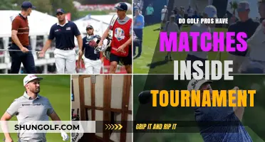 Exploring the Inner Game: Do Golf Pros Have Matches Within Tournaments?