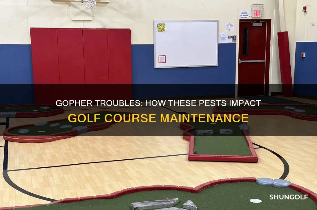 do gophers ruin golf courses