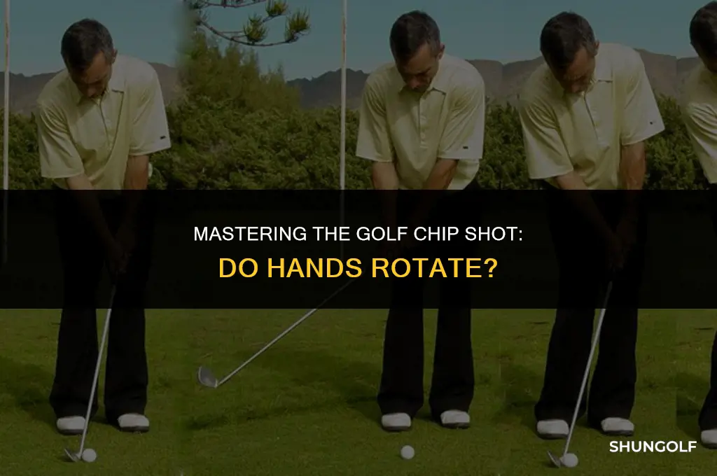 do hands rotate in golf chip shot