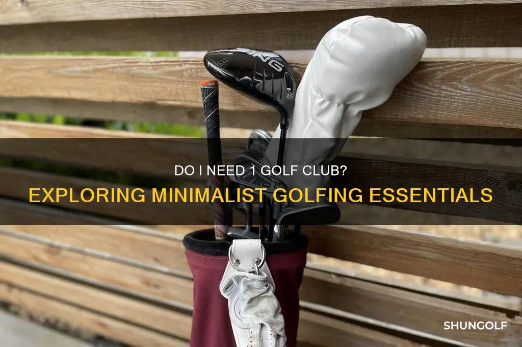 do i need 1 golf clubs