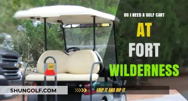 Golf Cart at Fort Wilderness: Essential or Optional for Your Stay?