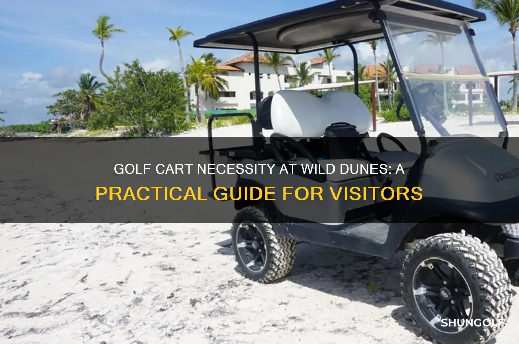 do i need a golf cart on wild dunes