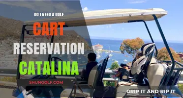 Catalina Golf Cart Reservations: Essential or Optional for Your Island Visit?