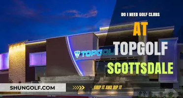 Do You Need Golf Clubs at Topgolf Scottsdale? Find Out Here