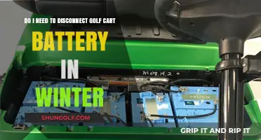 Should You Disconnect Golf Cart Batteries During Winter Storage?