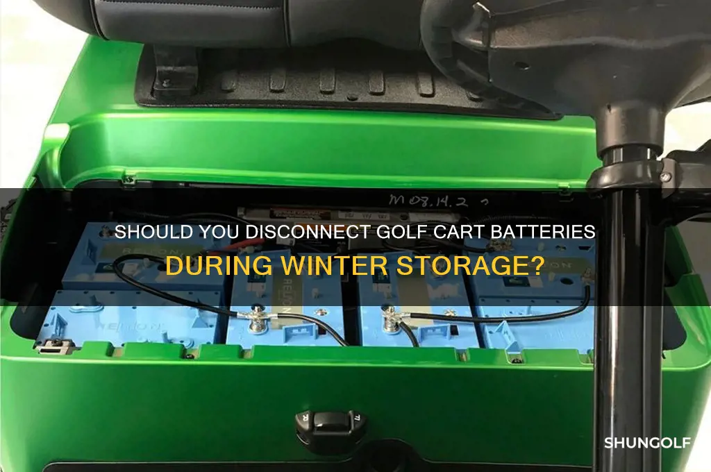 do i need to disconnect golf cart battery in winter