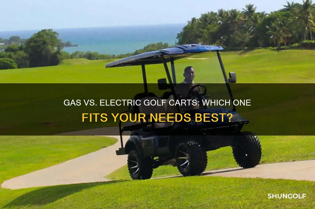 do i want a gas or electric golf cart