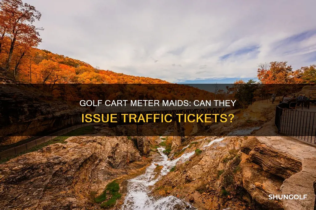 do meter maids in golf carts give traffic tickets