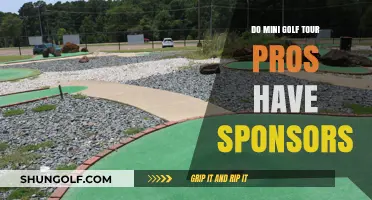 Mini Golf Pros: Sponsorships and the Road to Success